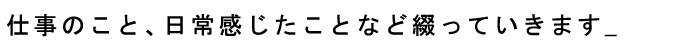 仕事のこと、日常感じたことなど綴っていきます_